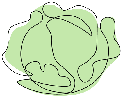 キャベツのアイコン