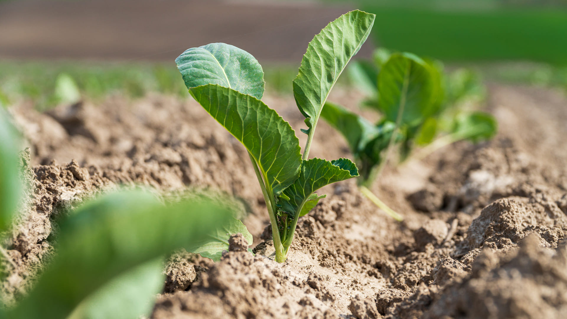 お問い合わせギャラリー1