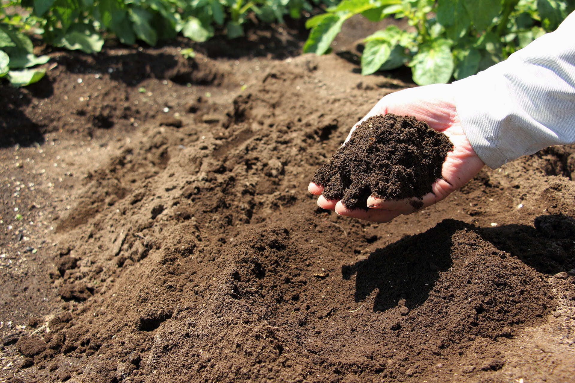 健康で幸せに暮らすために