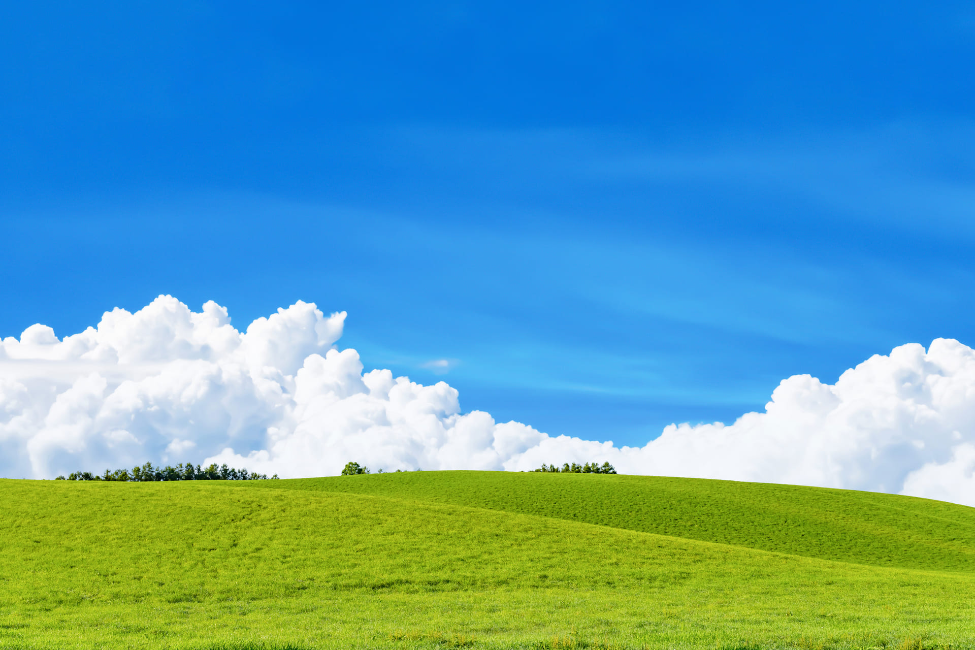 食の安心、安全をとどける